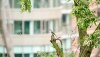 AME01702_MQ_16x9.jpg AME01702_MQ_16x9.jpg