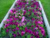 DSC00120.JPG