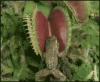 01.gif
