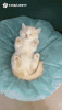 06_002.gif