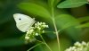 _ANT8032_HQ_16x9.jpg _ANT8032_HQ_16x9.jpg