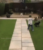 01_002.gif