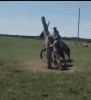 01_001.gif