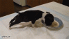 01_003.gif