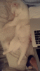 01_002.gif