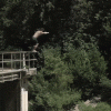 01_002.gif