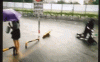 01.gif