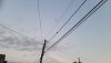 20210624_052438.jpg