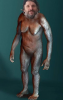 1554940297818.png