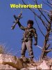 wolverines.JPG wolverines.JPG