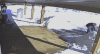 05_001.gif