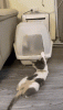 05_001.gif