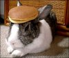 962e36f0bbc494caeced7e38c7b1934b--pancake-gif-bunny-pancake.jpg