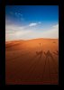 Long-Legs Camel Shadow_filtered_FRAMEDBLACK (Medium).jpg Long-Legs Camel Shadow_filtered_FRAMEDBLACK (Medium).jpg