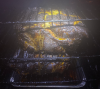 pulledpork1.png