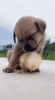 07_003.gif