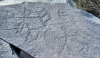 1634754268567.png