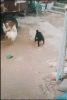 07_002.gif