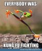 Everybody-Was-Kung-Fu-Fighting-Funny-Frog-Meme.jpg