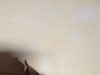 120D5DBE-A70E-4521-B672-D012821EE9AD.jpeg