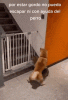 01.gif
