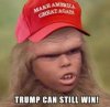 Trump can win.jpg
