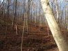 IMG_20211203_093236.jpg