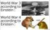 World-War-3-according-to-Einstein-vs-World-War-4-according-to-Einstein-meme-5388.jpg