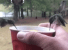 05_002.gif