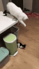 05.gif