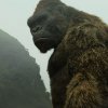 KONG_TRL1_002_VFX_2040.0.jpg
