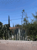 agave_backyard_2022_04_14-20.gif