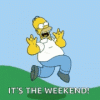 the-simpsons-homer-simpson.gif