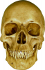 1651725078117.png