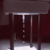 07_001.gif