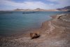 lake mead oil barrel.jpg lake mead oil barrel.jpg