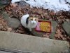 IMG_20220213_081716.jpg