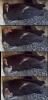 1653333052452.png