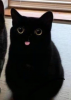 1654073202619.png