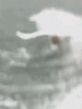 09_002.gif