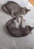 09_001.gif