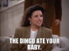 dingo.gif