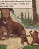 bears.jpg