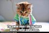 cat beads.jpg