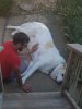 IMG-20170903-WA0001.jpg
