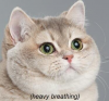 1664056669444.png