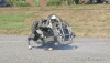 Robot Puppy Bounce.gif