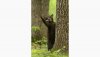 http___cdn.cnn.com_cnnnext_dam_assets_221020112720-16-comedy-wildlife-photo-awards.jpg
