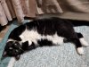 20220905_062330.jpg