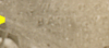 1667390394345.png